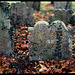 Autumn tombstone
