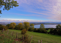 Panorama du Mont-Vully...