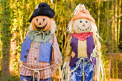 Suburban Scarecrows