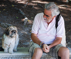 Le vieil homme et son chien