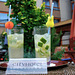 Mojitos on the terrace