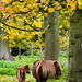 Autumn Ponies (2)