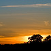 Hertfordshire sunset