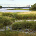 A Marsh by the Lachine Rapids