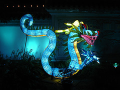 La magie des lanternes chinoises / The magic of chinese lanterns