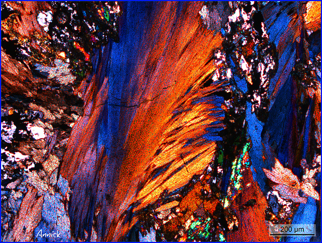 lame de roche prise au microscope optique