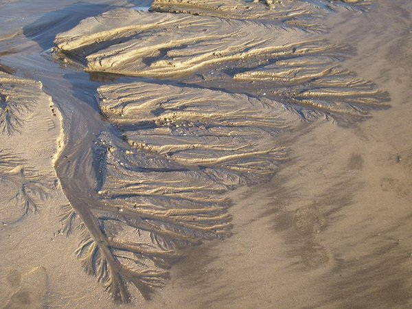 veins in the sand