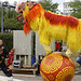 Chinese Lion Dance-2