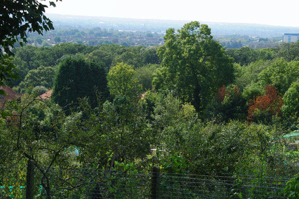 View over the allotments
