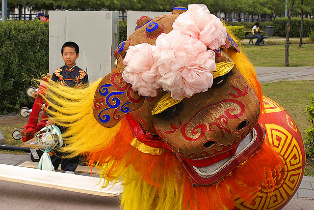 Chinese Lion Dance-1