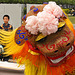 Chinese Lion Dance-1