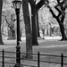 Central Park (8)
