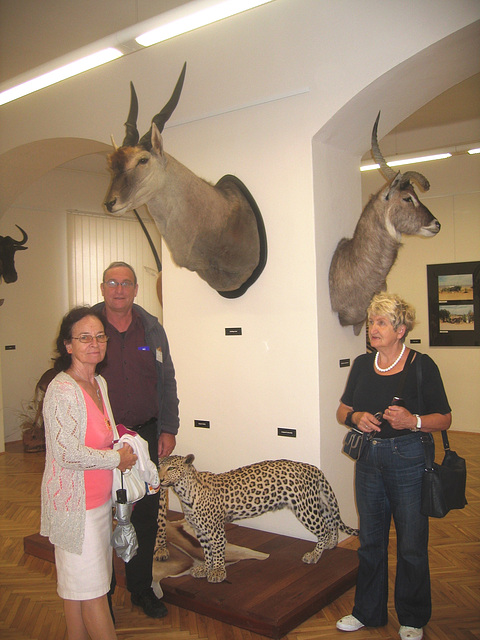 OSIEK-anoj dum vizito de la Urba muzeo kaj galerio en Svitavy