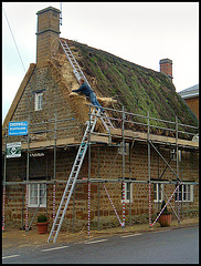 renewing old thatch