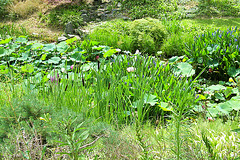 Au jardin Zen de Beaumont-Monteux 26