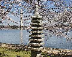 Japanese Stone Pagoda – Tidal Basin, Washington DC