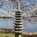 Japanese Stone Pagoda – Tidal Basin, Washington DC