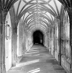 Wells Cathedral cloister (I)