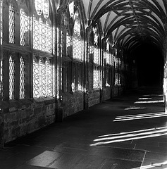 Wells Cathedral cloister (II)