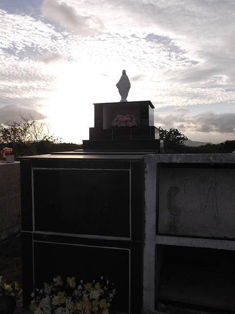 Cimetière Panaméen /  Panamanian cemetery - 3 février 2013.