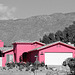 Bright Pink House at Cactus and 2nd (7926A)