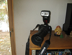 My Canon 01