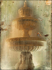 fontaine de jouvence