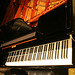Nethercutt Collection - 96-key Piano (9040)