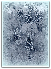 IMG 3081-paysage hivernal- vignettage bleu clair
