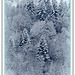 IMG 3081-paysage hivernal- vignettage bleu clair