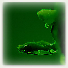 Chlorophylle- essai en vert + néon + vignettage clair