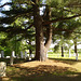 Cimetière du Vermont / Vermont cemetery - 24 mai 2009.
