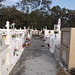 Cimetière Panaméen /Panamanian cemetery.