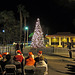 DHS Christmas Tree Lighting (1382)