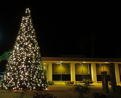 DHS Christmas Tree Lighting (1387)