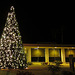 DHS Christmas Tree Lighting (1387)
