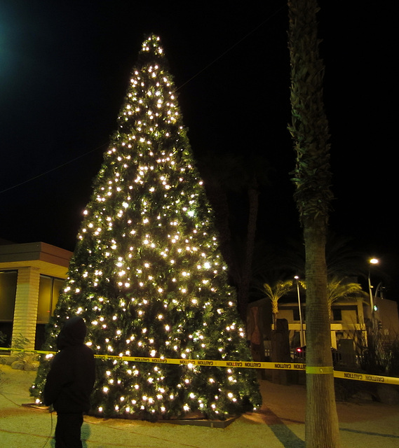 DHS Christmas Tree Lighting (1388)