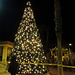 DHS Christmas Tree Lighting (1388)