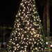 DHS Christmas Tree Lighting (1390)