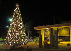 DHS Christmas Tree Lighting (1394)