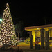 DHS Christmas Tree Lighting (1394)