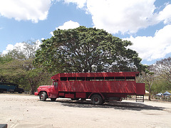 Cuban truck nap / Camion cubain en sieste / Siesta a la cubana !