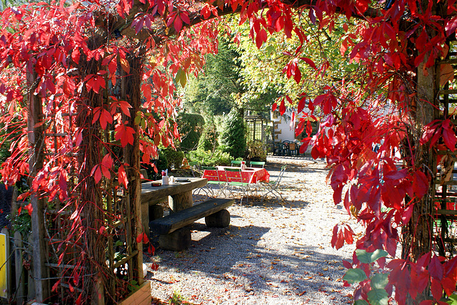 Ettaler Mühle. Herbstlaub. ©UdoSm