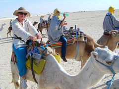 Kamelreiten in Douz