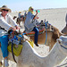 Kamelreiten in Douz