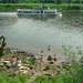 Bad in der Elbe im Mai