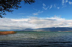 Au bord du lac de Neuchâtel...