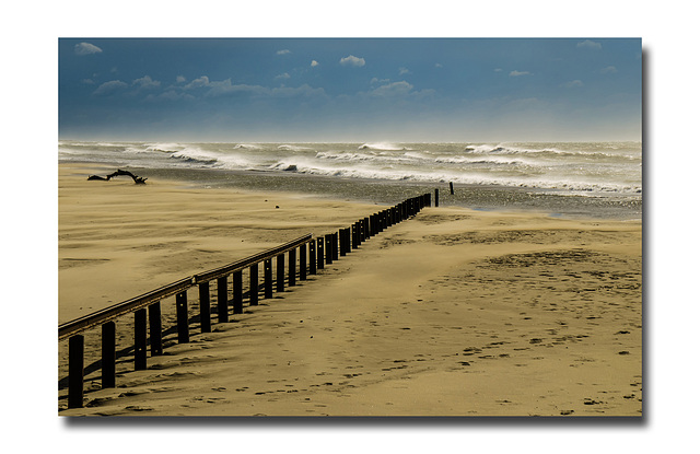 Sur la plage............une improbable rencontre. Sur la plage............une improbable rencontre.