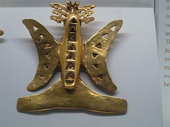 Mariposa de oro, Museo de San José