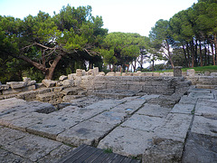 Acropole de Ialysos : vue d'ensemble